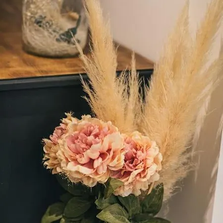 L'atelier Cosy Apartment *